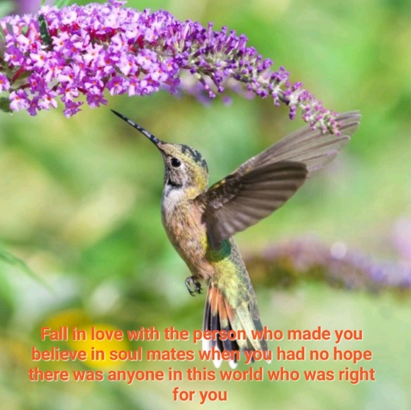 Follow Me to 250k! Thank You for Your Support! - Picture 6 of 12